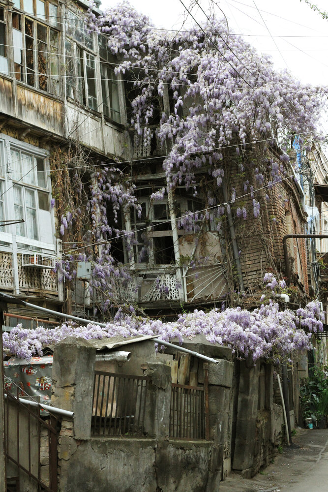 Photograph by Елена Наумова