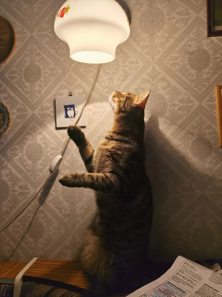 Photograph by Natalia Persidskaia