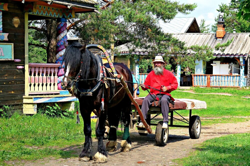 Пожилые люди