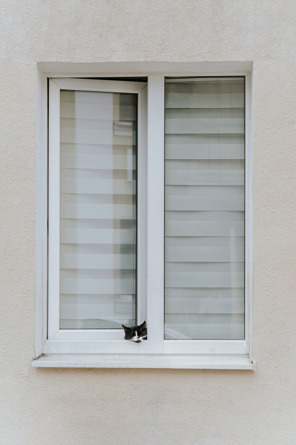 Photo #14041086