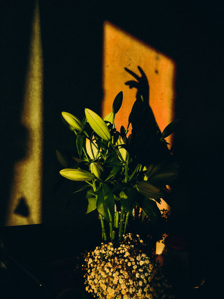 Photograph by Алиса Исаева