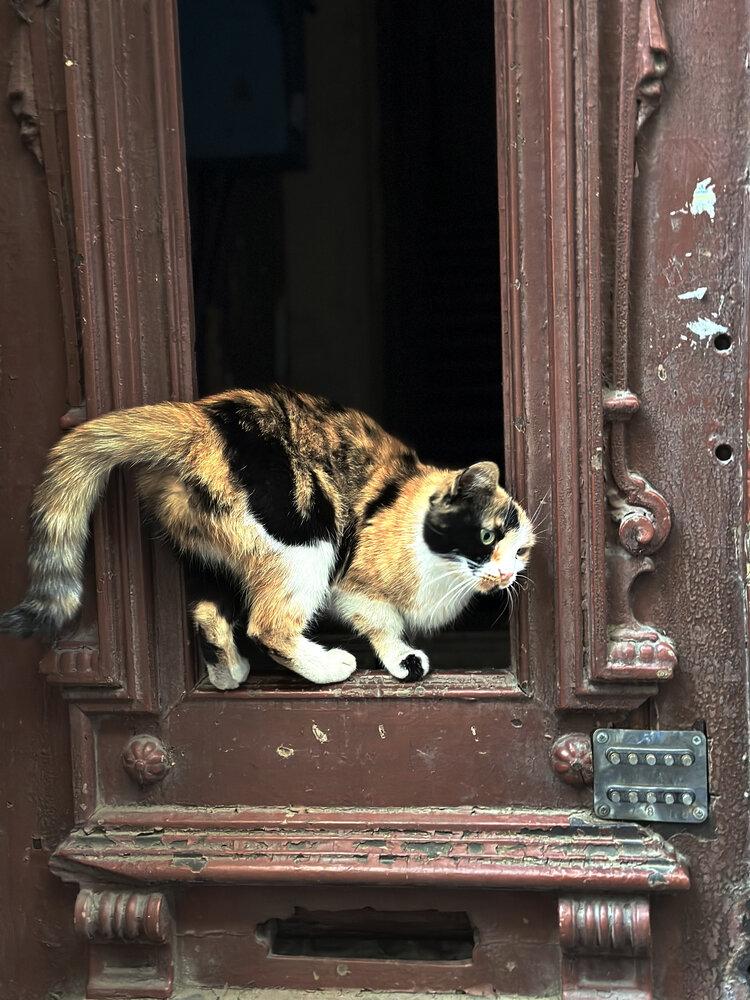 Photograph by Елена Наумова