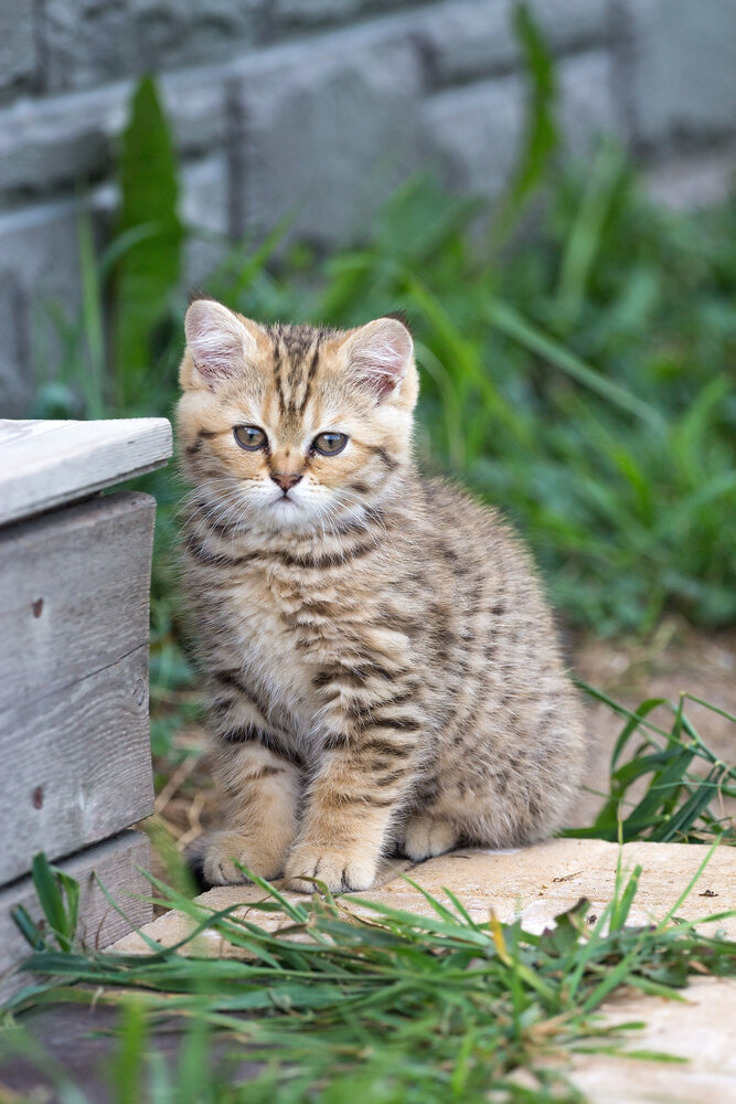 Photograph by Анна Акименко