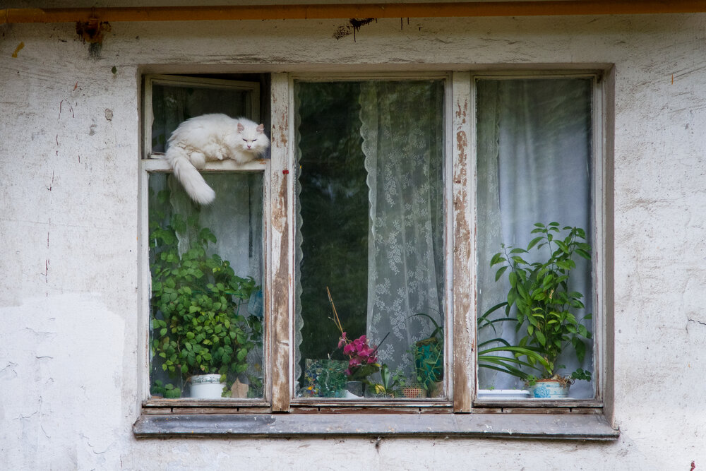 Photograph by Алексей Кацан