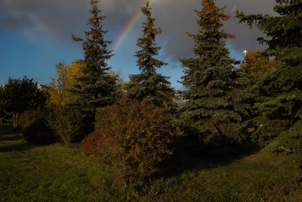Photograph by Сергей Плеханов