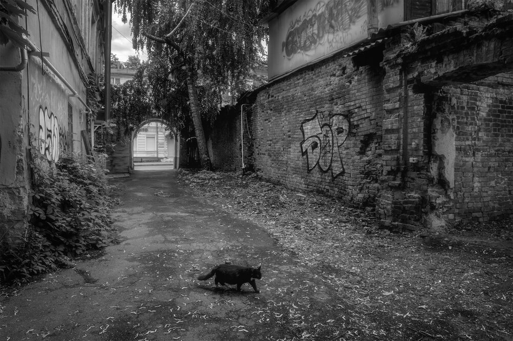 Photograph by Владимир