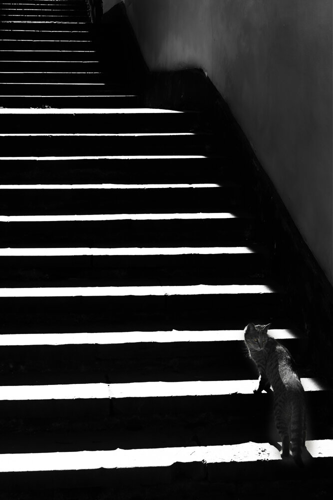 Photograph by Владимир