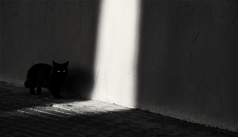 Photograph by Владимир