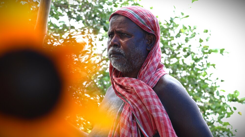Old Man and The Sunflower