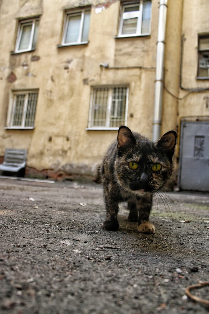 Photograph by Дмитрий Кирсанов