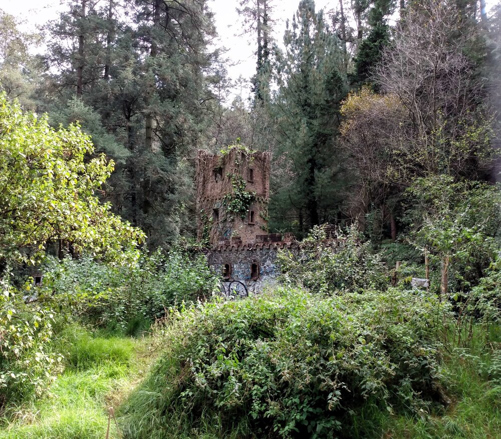 Photo #14041294
