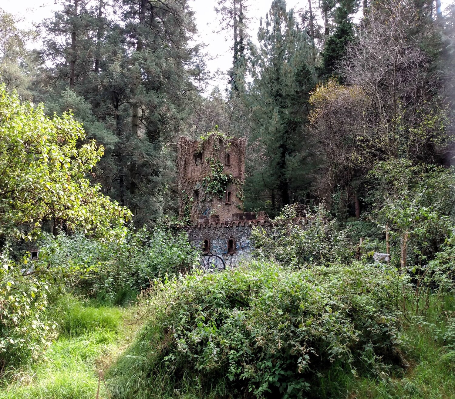 Photo #14041294