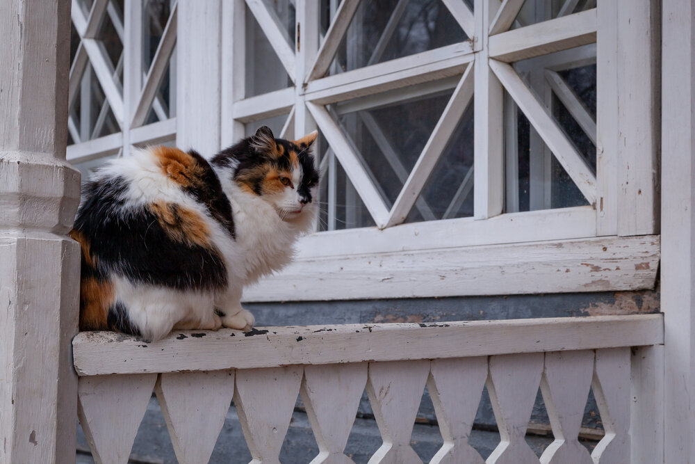 Photograph by Владислав Лопатов