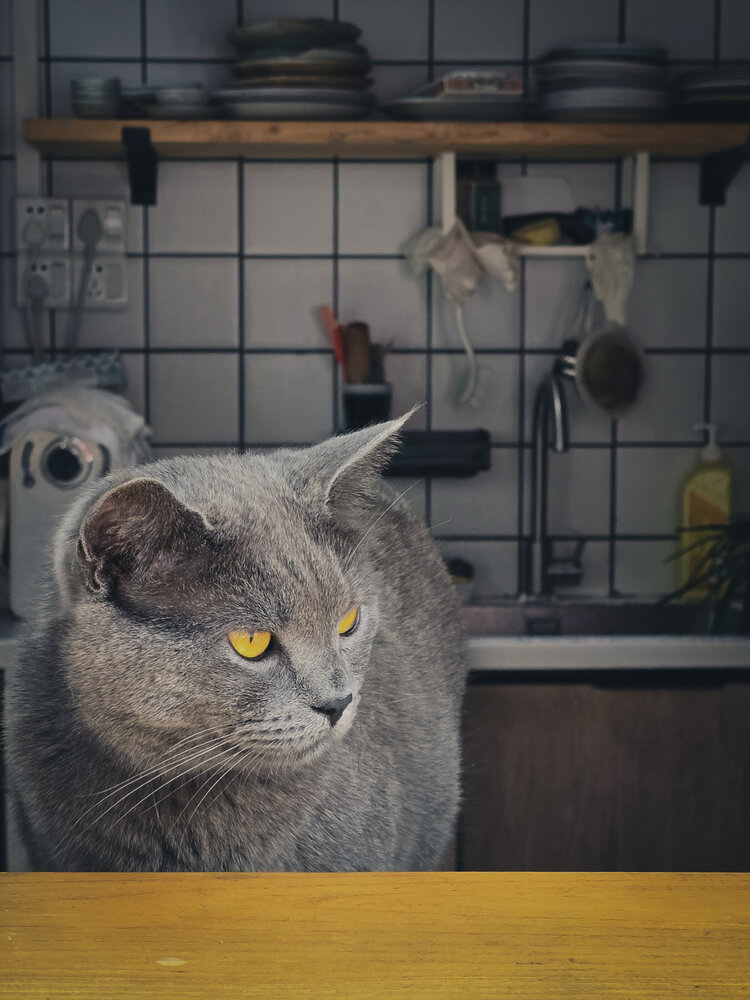 Photograph by Ирина Хлебникова