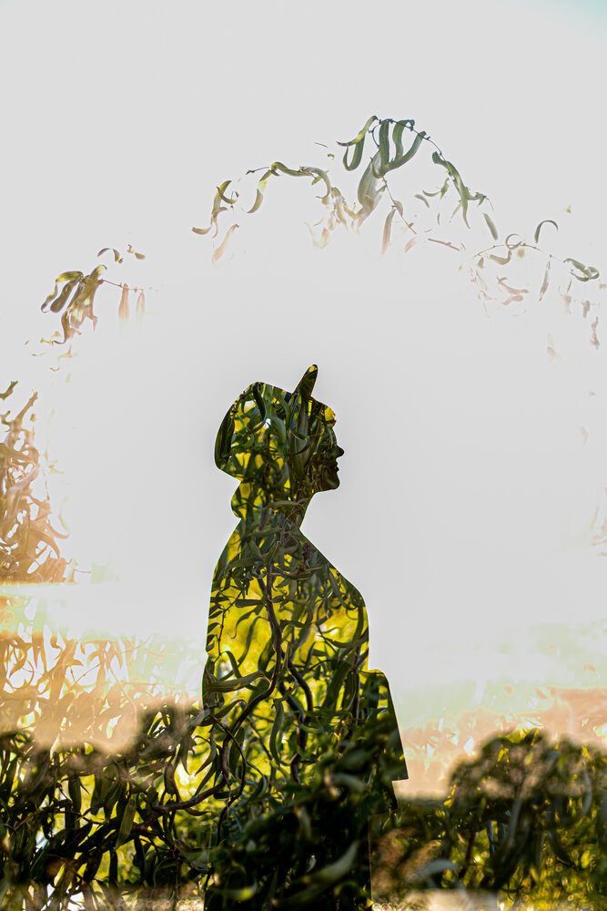 Photograph by Дмитрий Давидов