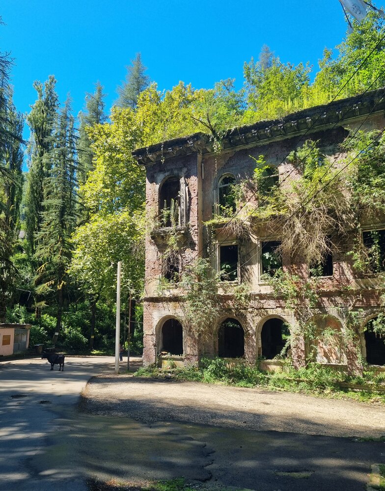 Photograph by Евгения Бицунова