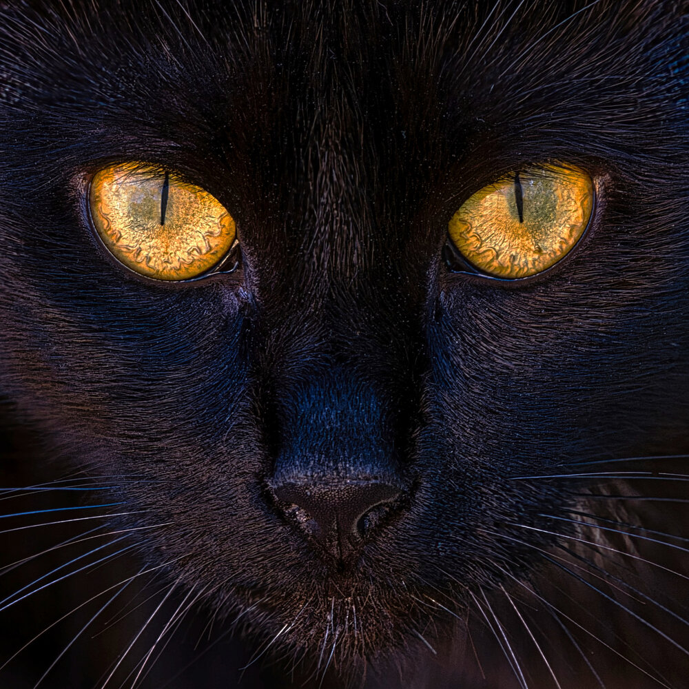 Photograph by Janis Serdienis