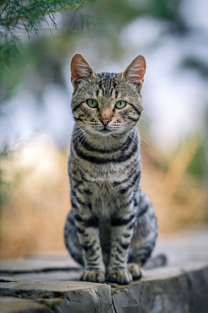 Photograph by Андрей Котенко