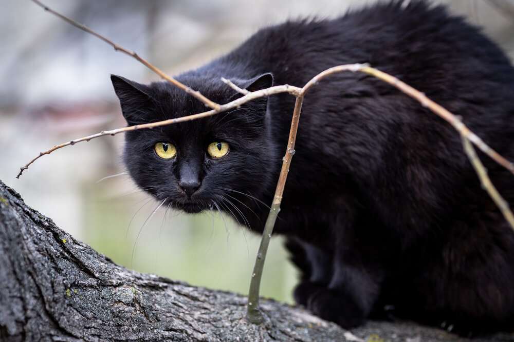 Photograph by Андрей Котенко