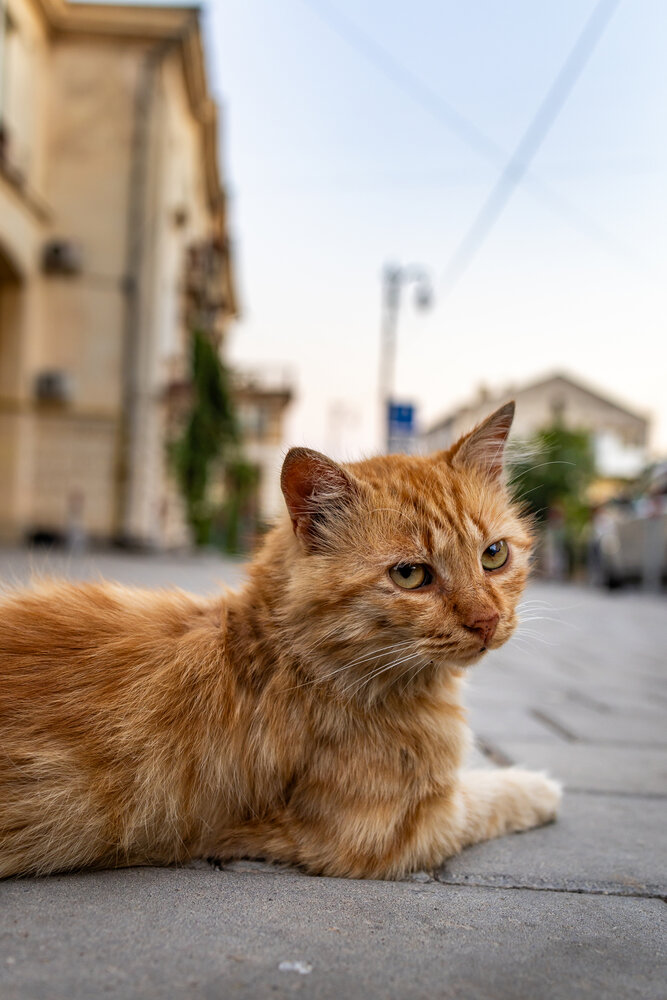 Photograph by Андрей Котенко