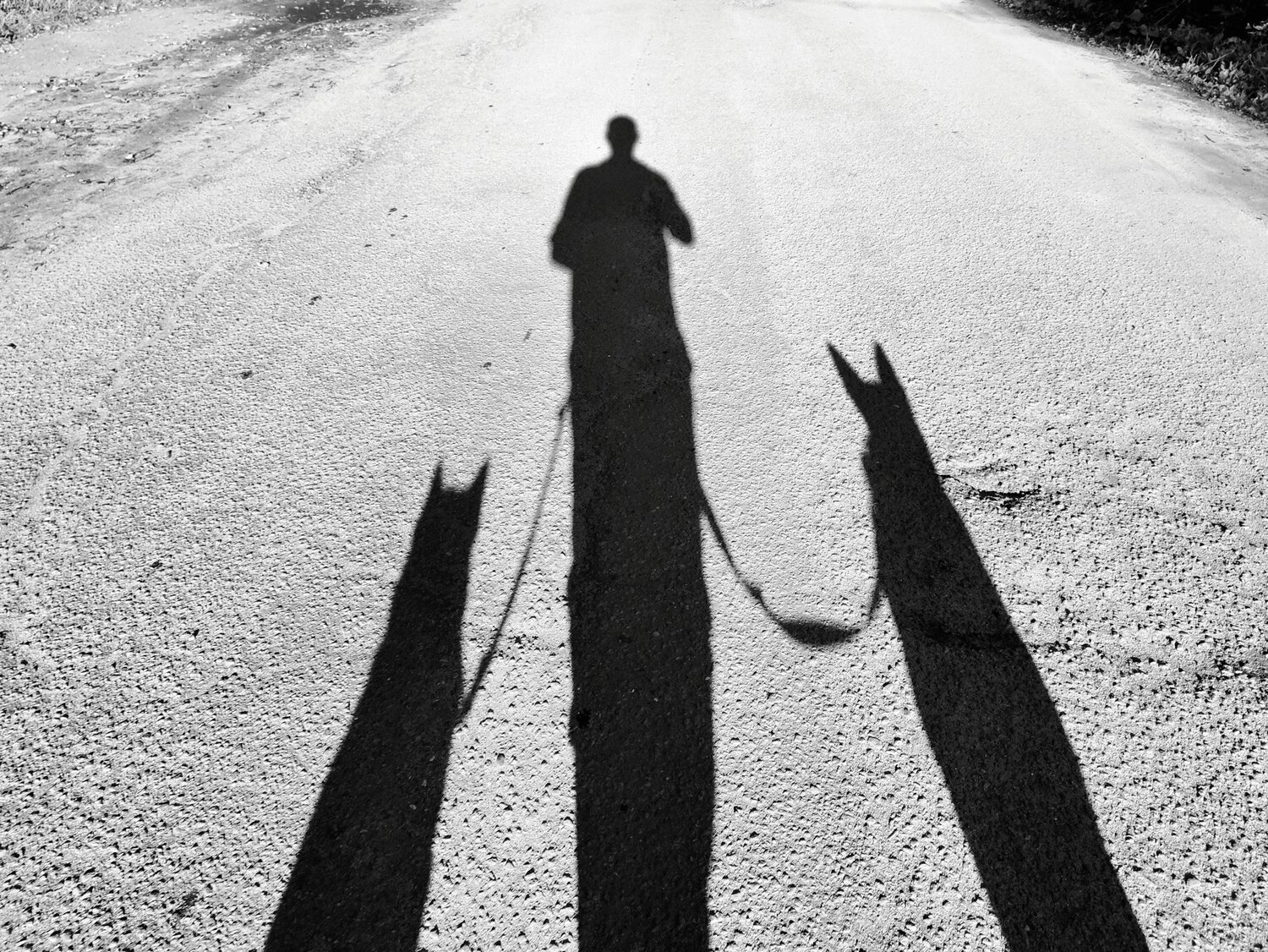 Photo #14041428