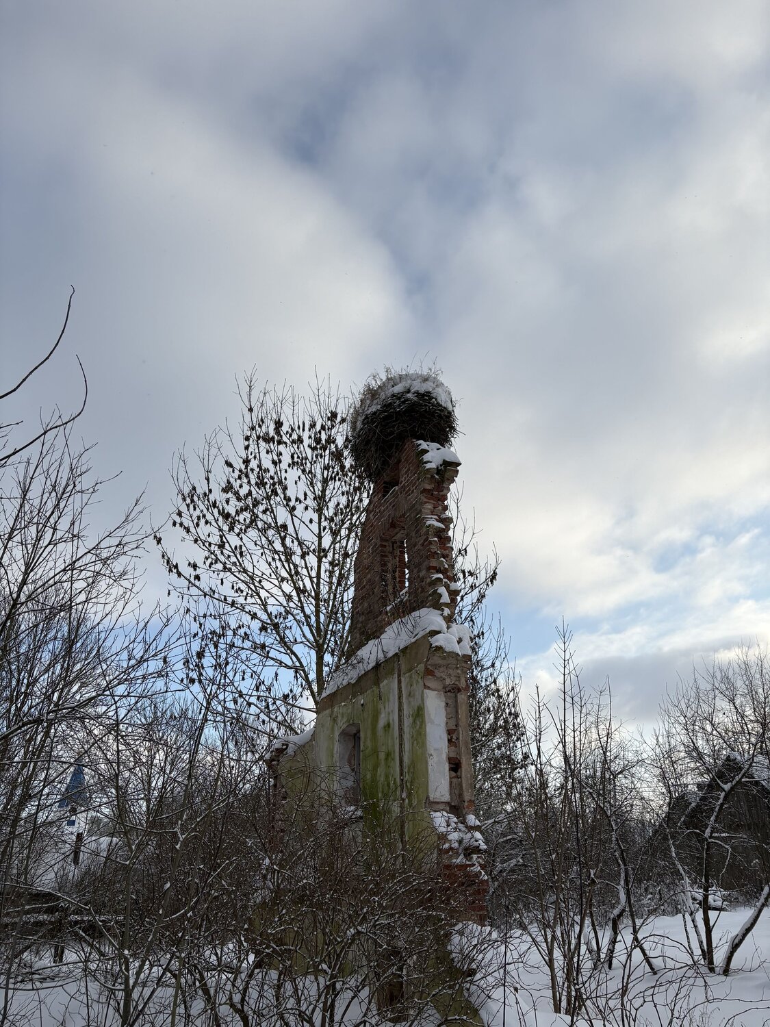 Photo #14041429