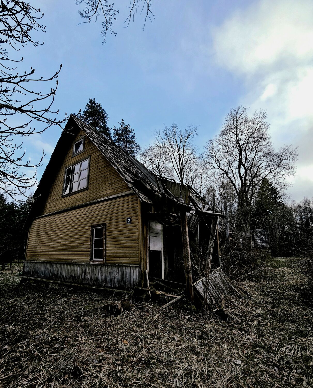 Photo #14041453
