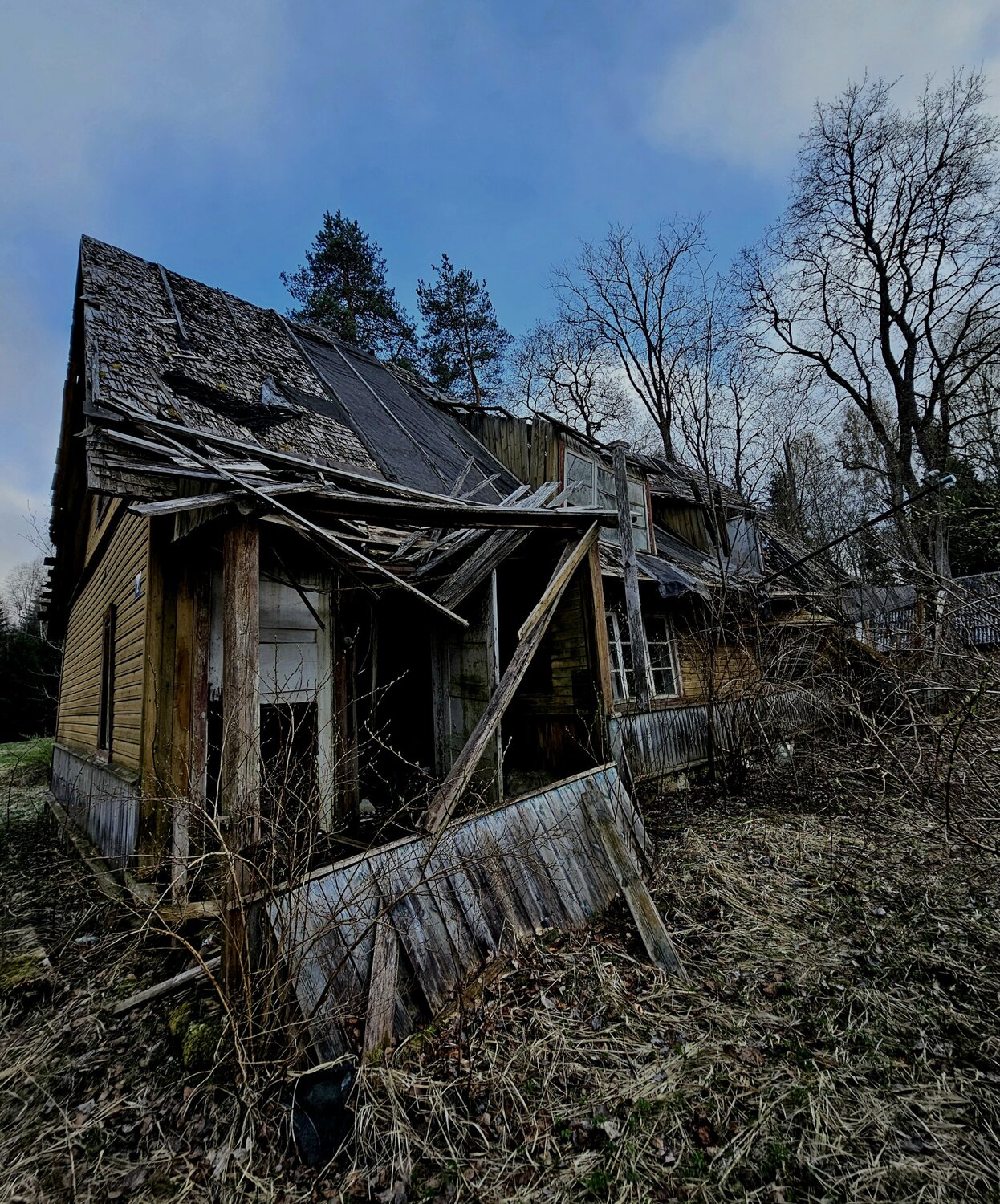 Photo #14041454