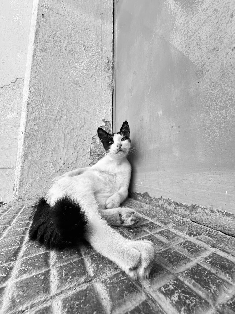 Photograph by NATASHA IO