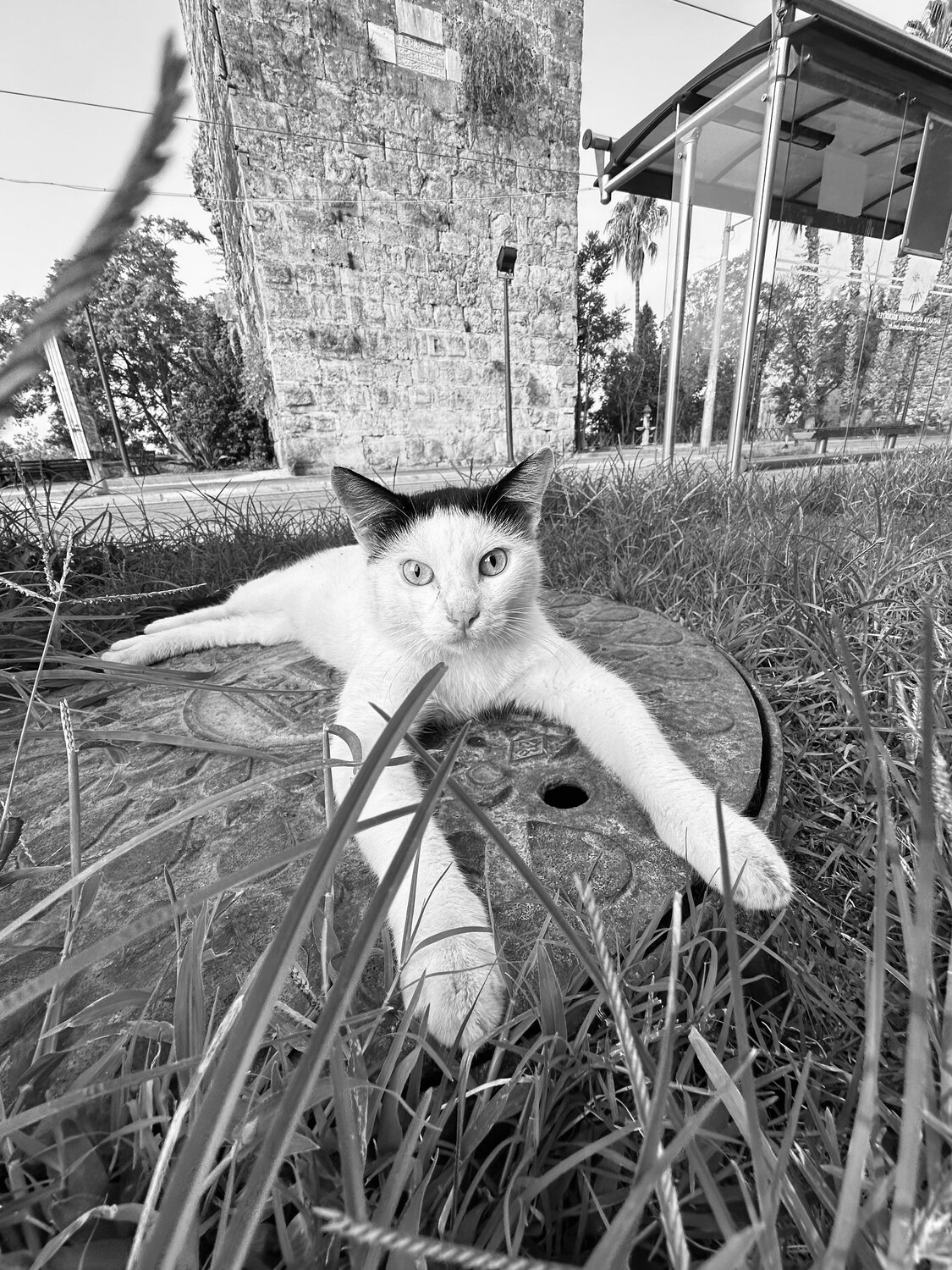 Photo #14041457
