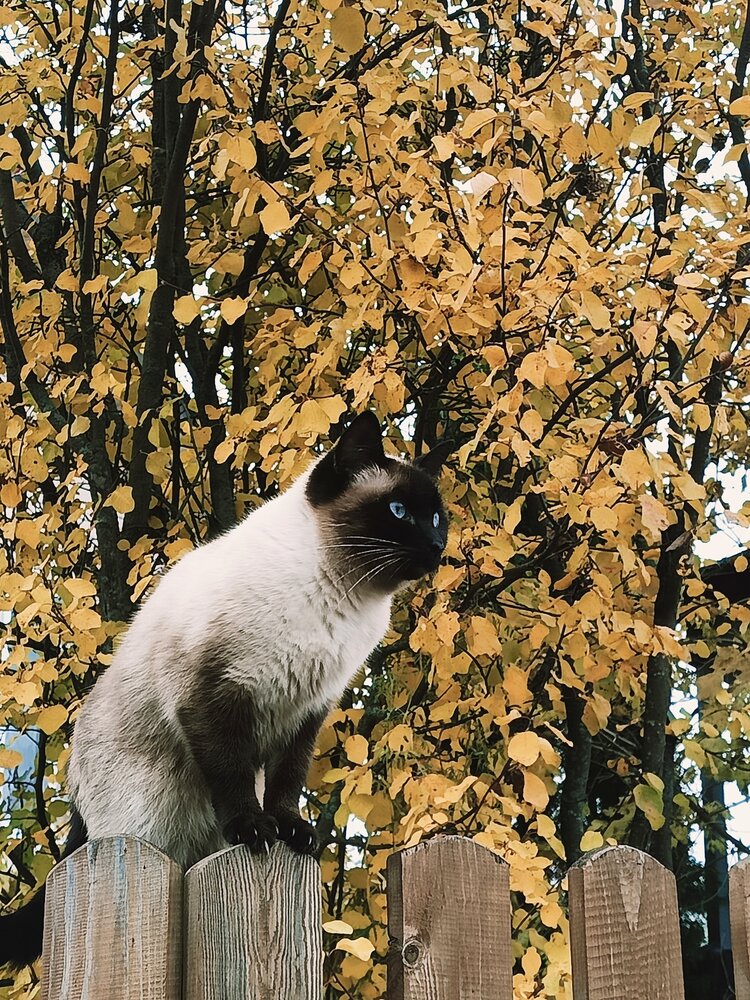 Photograph by Татьяна Бешенкина