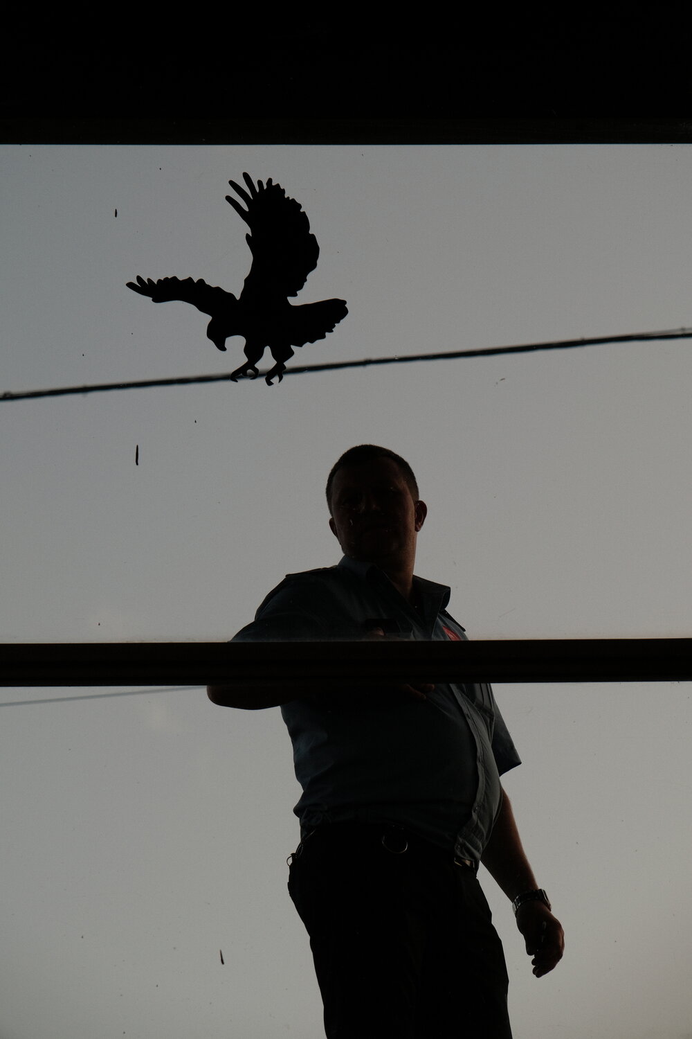 Photo #14041498