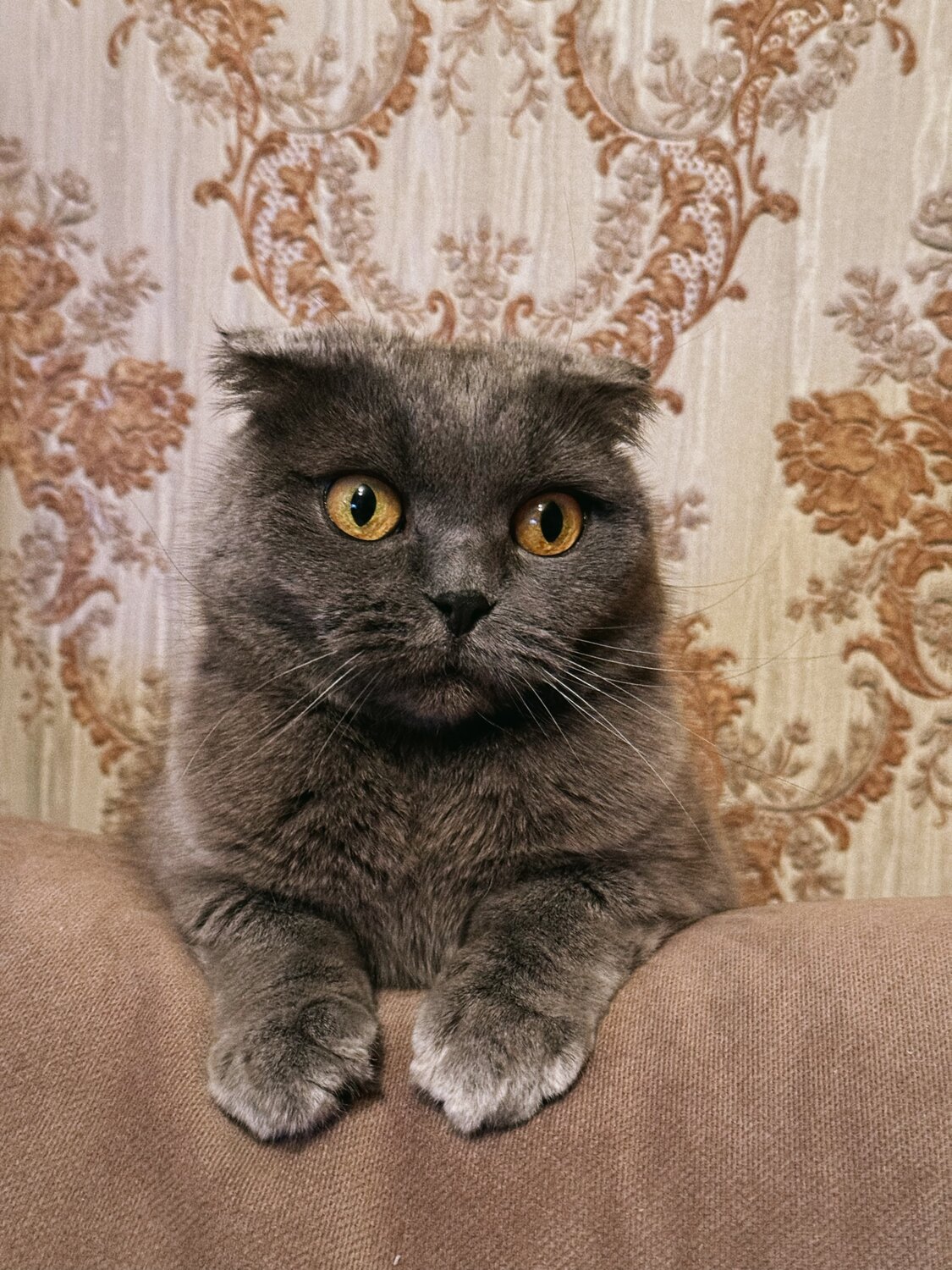 Взгляд