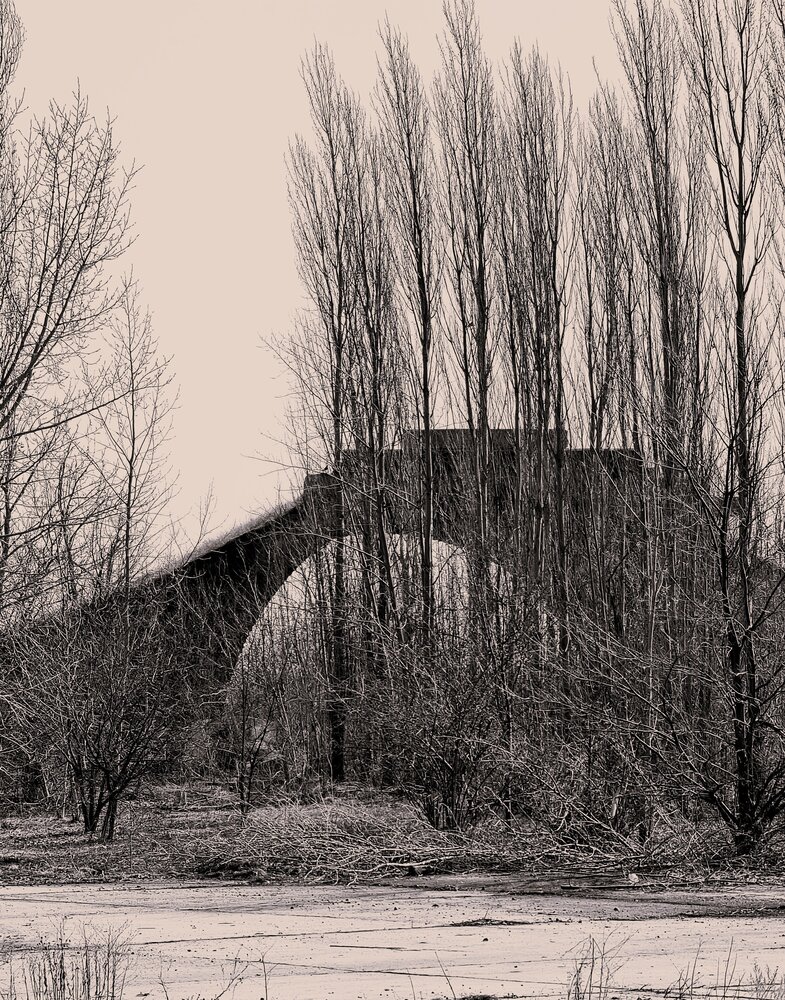 Photograph by Сергей Мамалюк