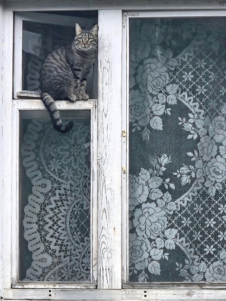 Photograph by Светлана Кустова