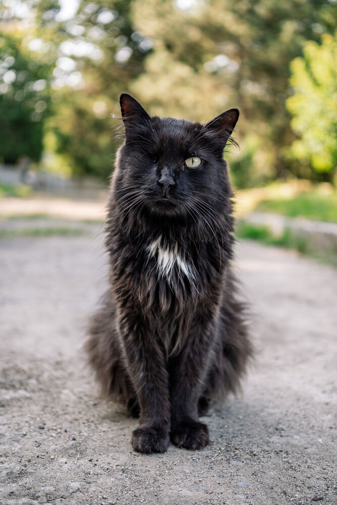 Photograph by Дмитрий Заворыкин