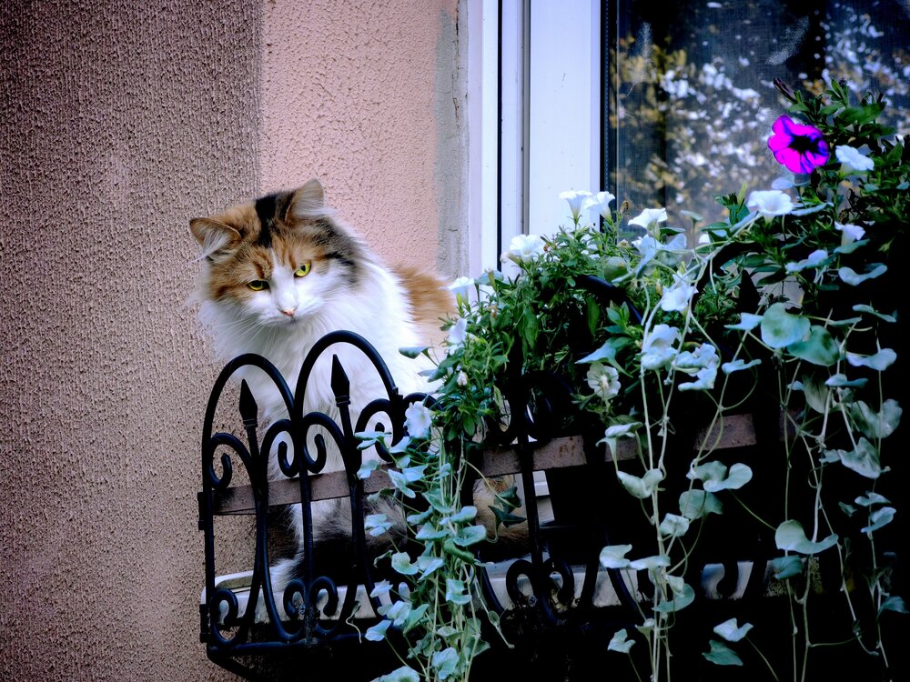 Photograph by Андрей