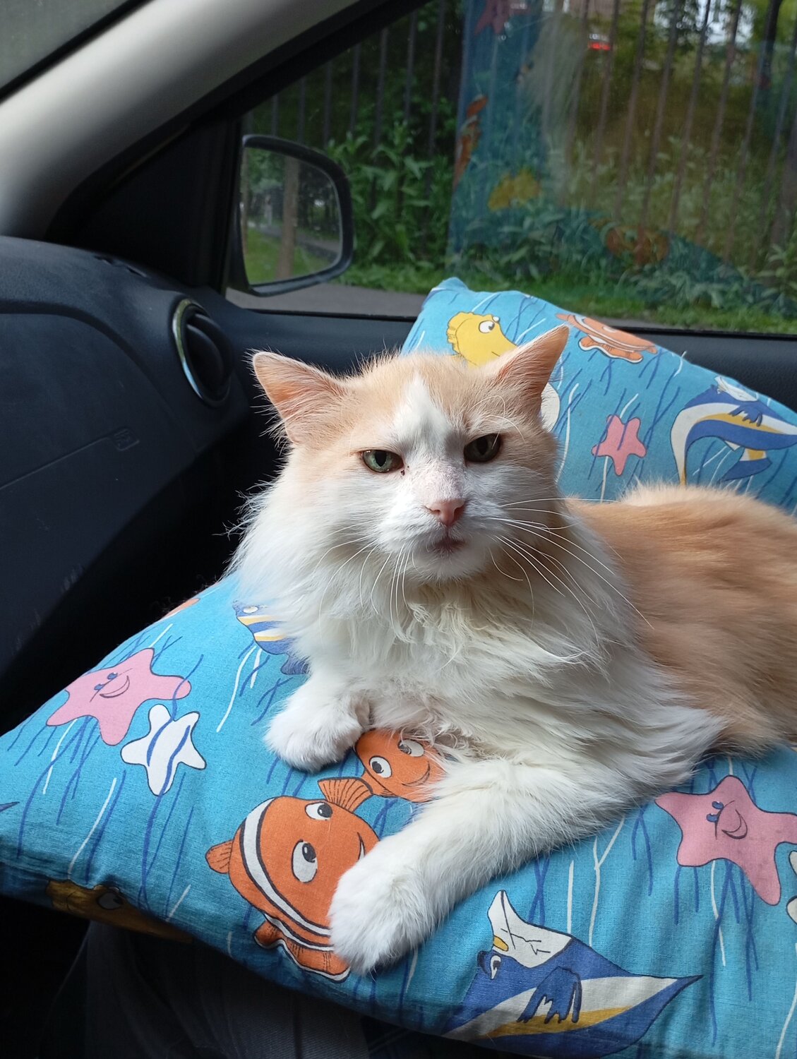 Photo #14041599