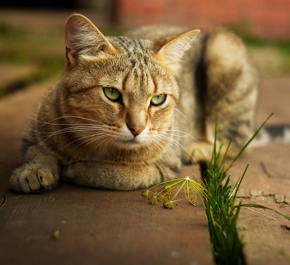 Photograph by Илья Долгушев