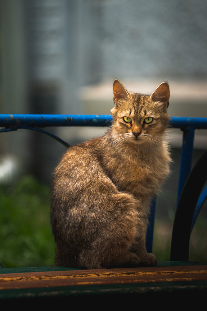 Photograph by Илья Долгушев