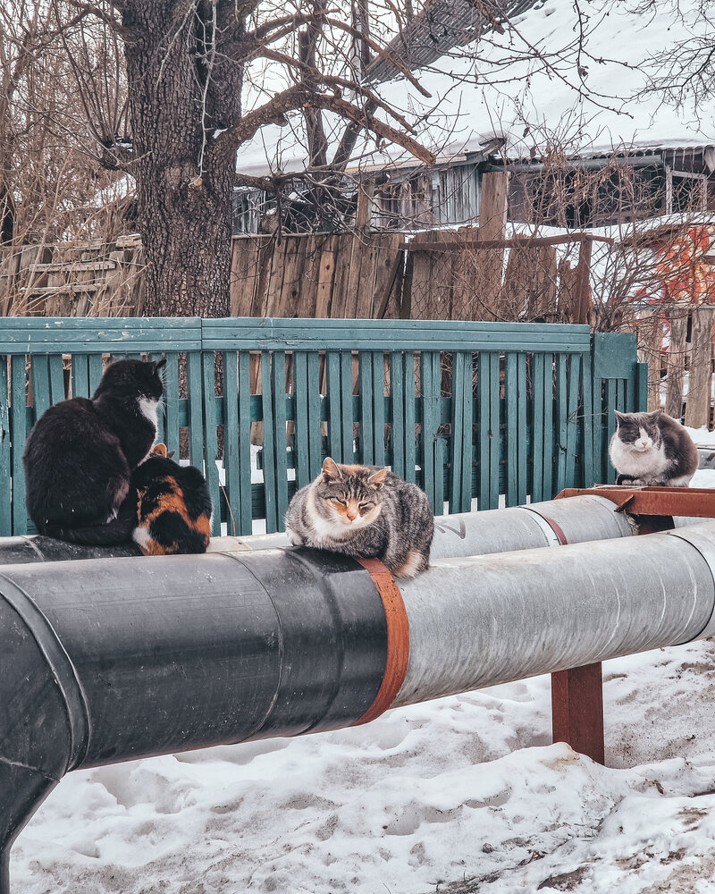 Photograph by Liudmila Kirillova