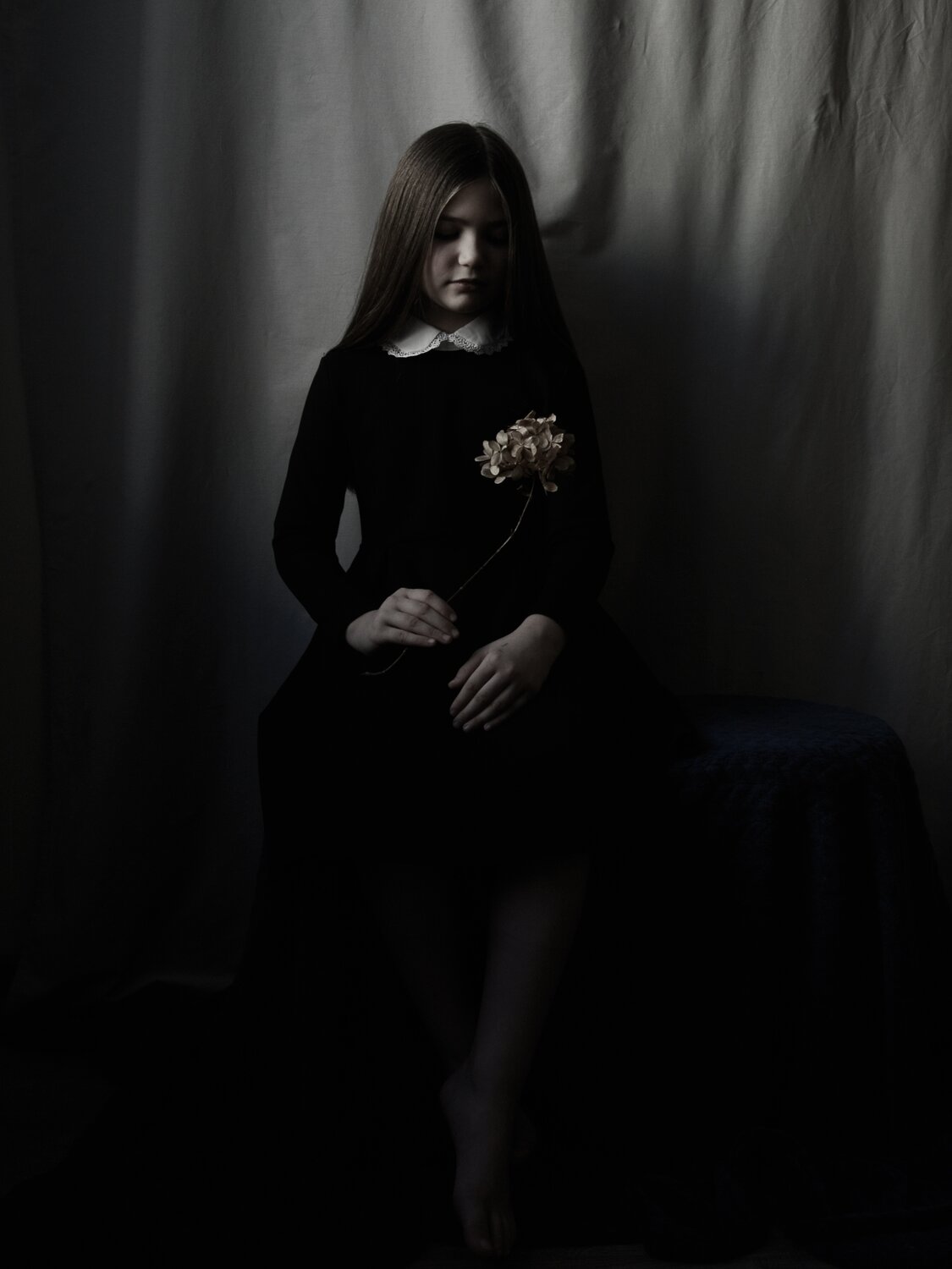 Photo #14041696