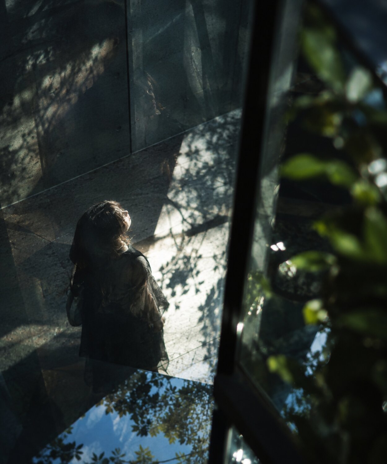 Photo #14041750