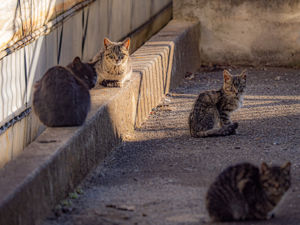 Photograph by Dyeyou