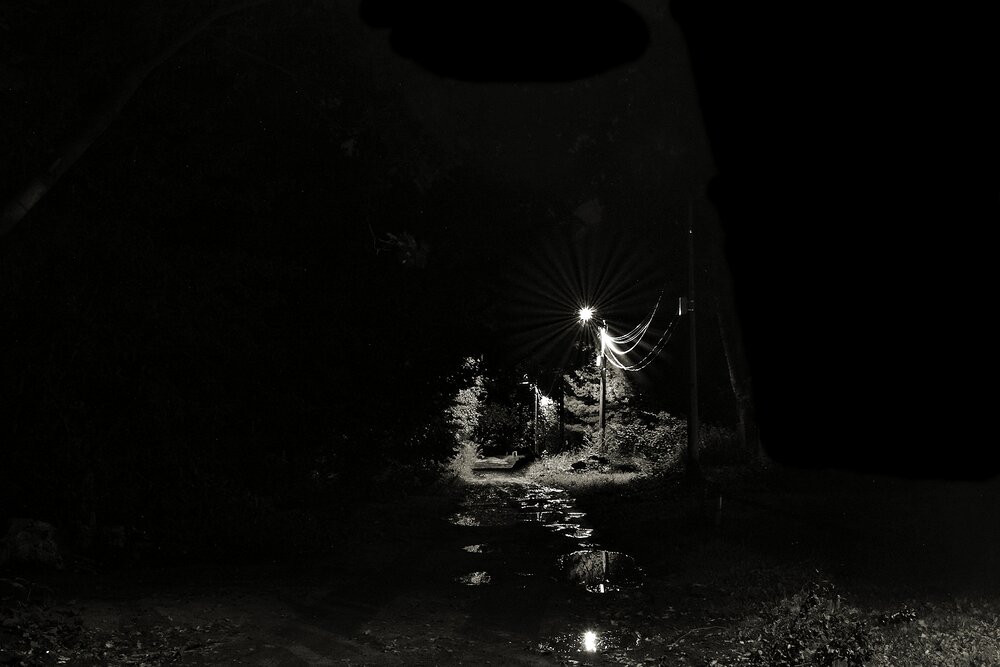 Photo #14041903