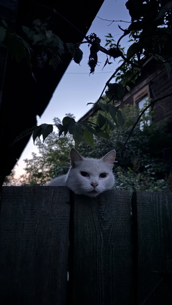 Photograph by Дмитрий Бобровский