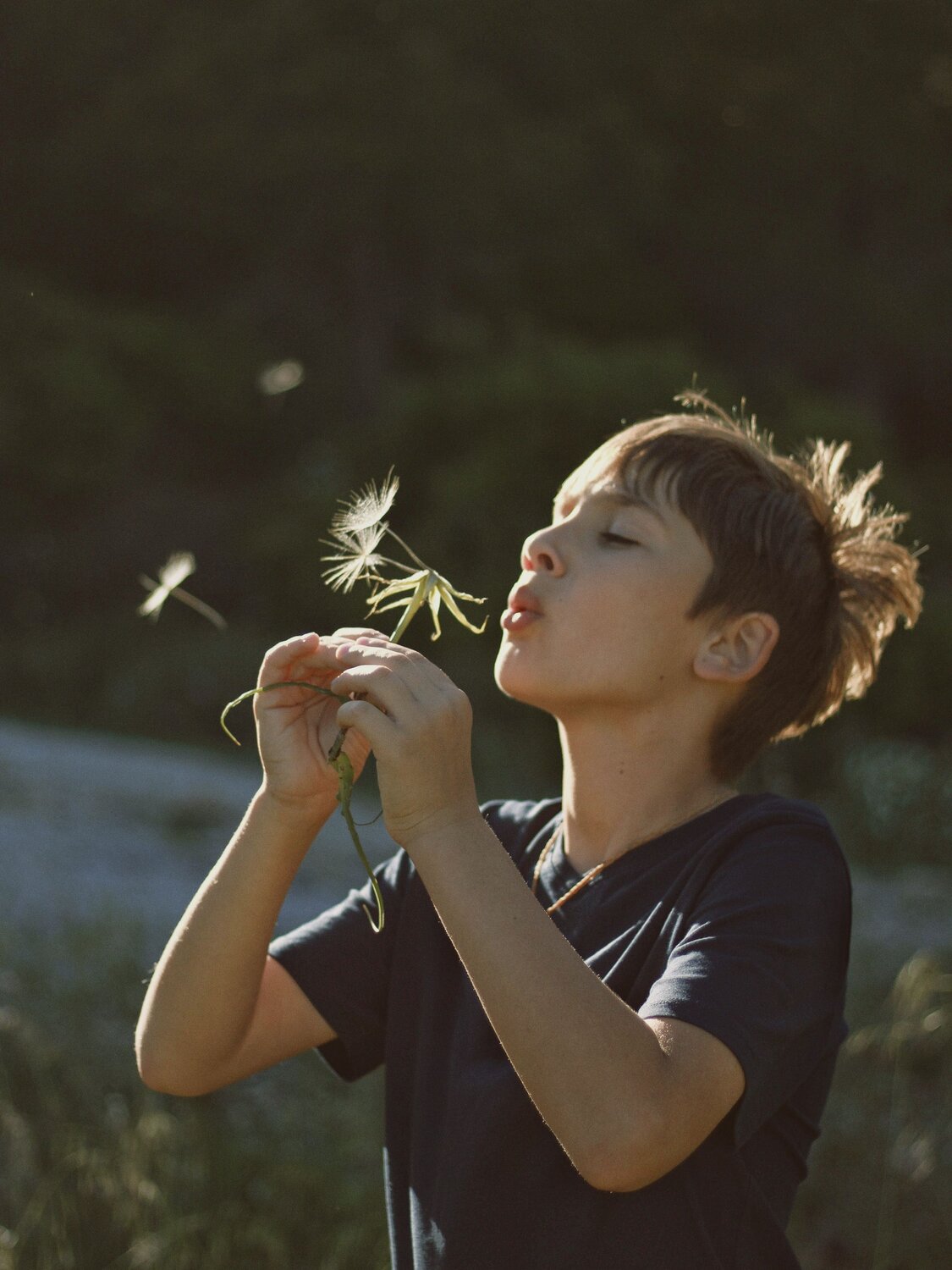 Photo #14042022