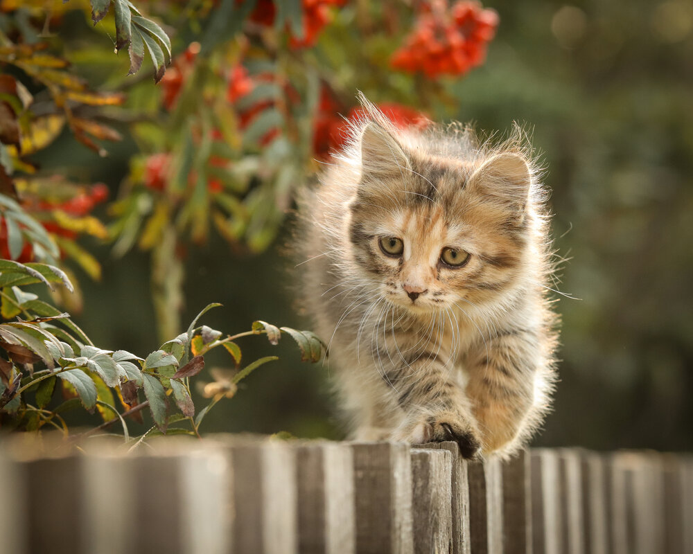 Photograph by Васильев Игорь