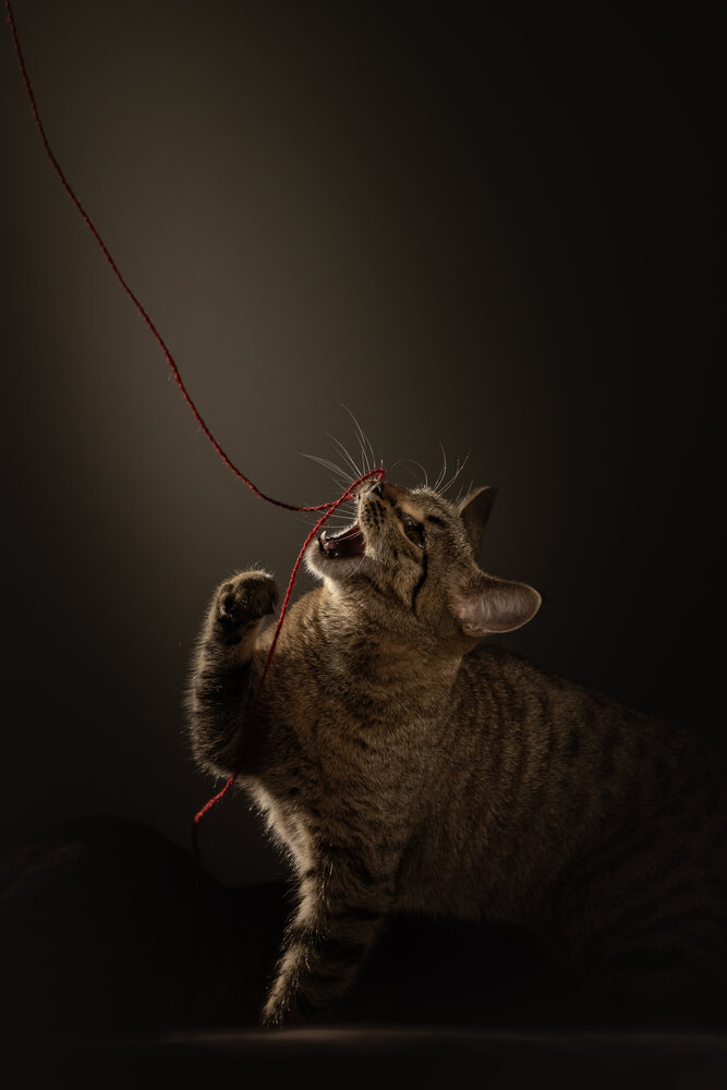 Photograph by Милана Маллер