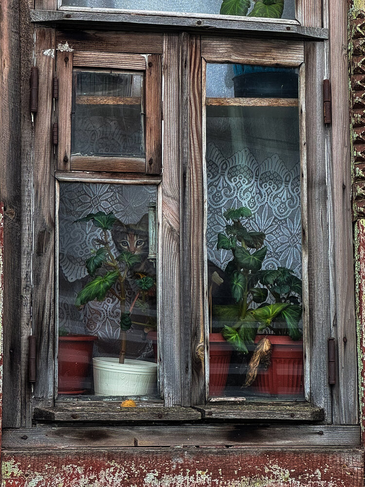 Photograph by Наталья Чехова
